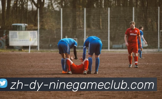 九游体育官方网站APP 封面图